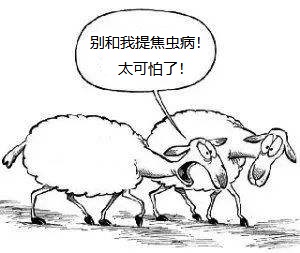 羊焦虫病.jpeg