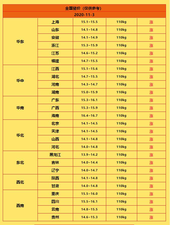 猪价.jpg