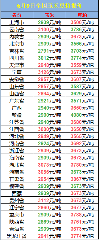 6.9玉米.png