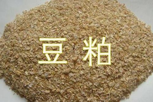 畜牧堂图片